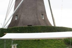 Fruit10-scaled Fruit10-scaled