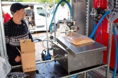 Fruit3-scaled Fruit3-scaled