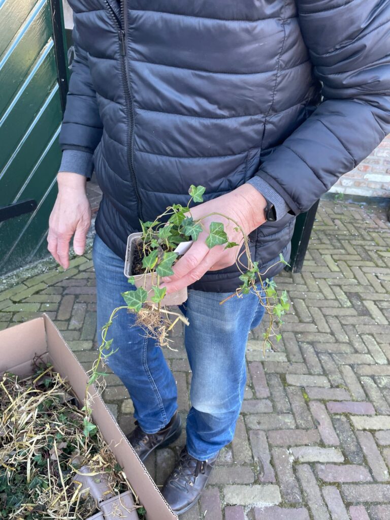 Tijdens NLdoet is hard gewerkt bij de Meule van Wassens. 