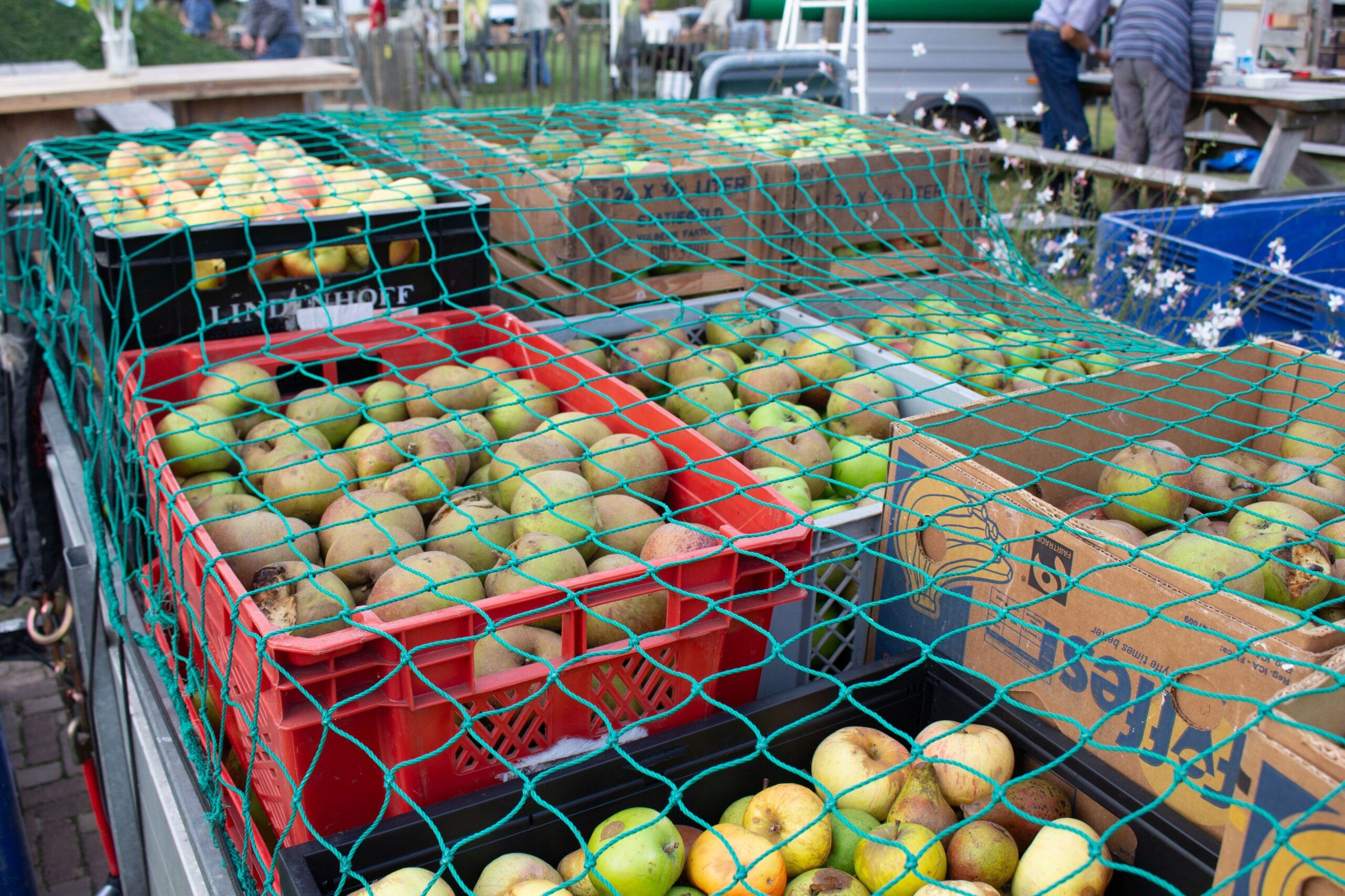 Fruitpersdag & Meulemarkt 2026